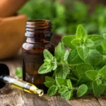 Oil of Oregano Uses, Benefits and Side Effects