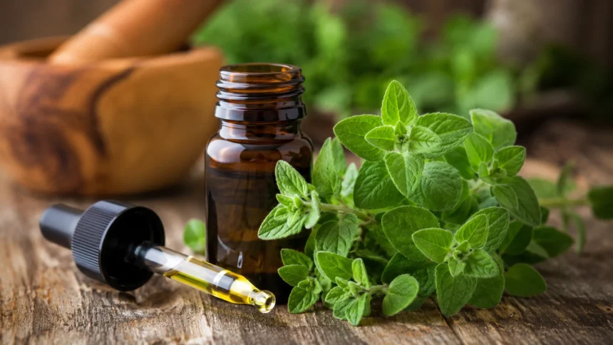 Oil of Oregano Uses, Benefits and Side Effects